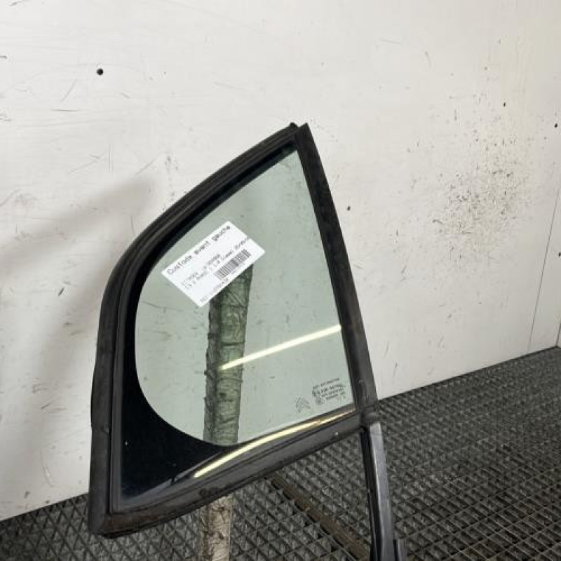 Custode avant gauche (porte) CITROEN C3 2 Photo n°2