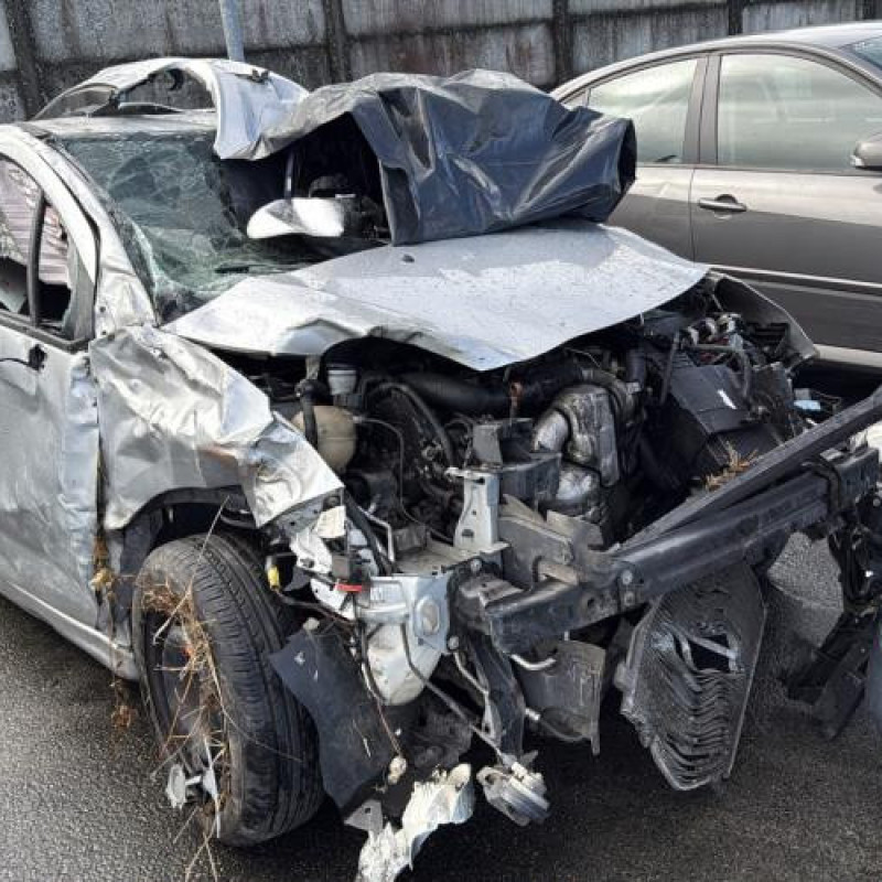 Custode avant gauche (porte) CITROEN C3 2 Photo n°6