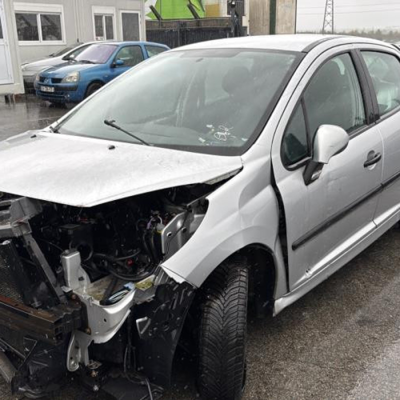 Custode avant droit (porte) PEUGEOT 207 Photo n°5
