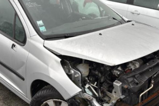 Custode avant droit (porte) PEUGEOT 207