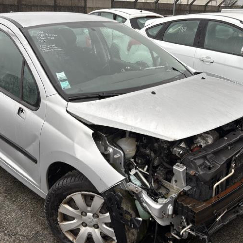 Custode avant droit (porte) PEUGEOT 207 Photo n°6
