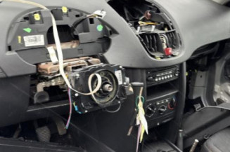 Custode avant gauche (porte) PEUGEOT 207