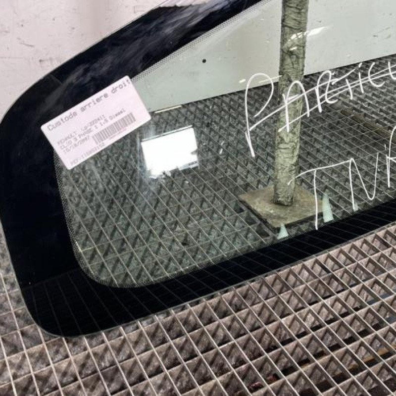 Custode arriere droit RENAULT CLIO 3 Photo n°2