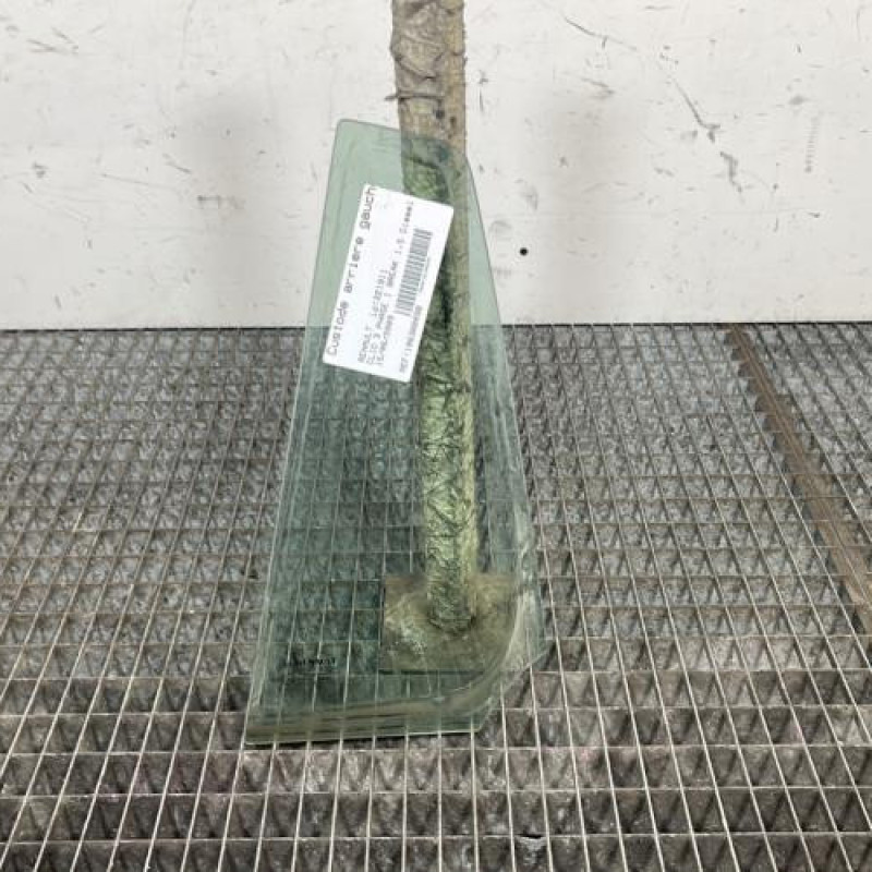 Custode arriere gauche (porte) RENAULT CLIO 3 Photo n°1