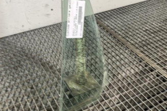 Custode arriere gauche (porte) RENAULT CLIO 3