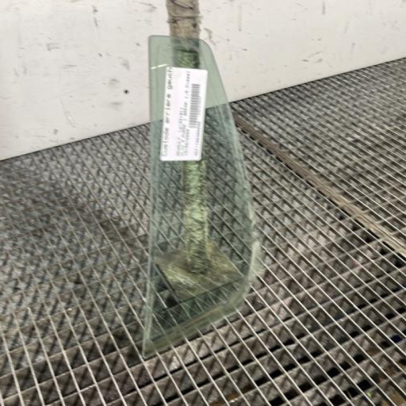 Custode arriere gauche (porte) RENAULT CLIO 3 Photo n°2