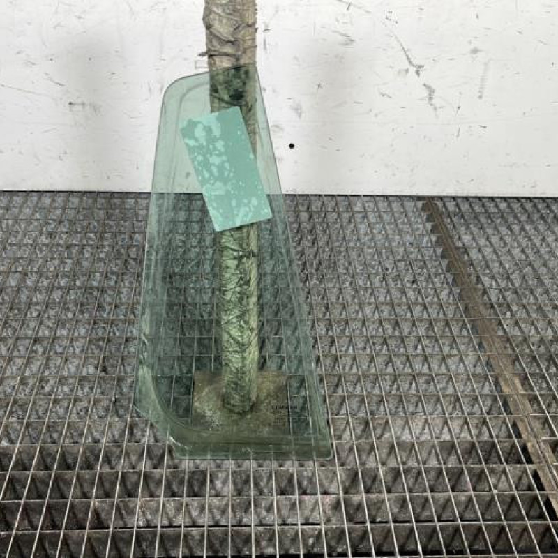 Custode arriere gauche (porte) RENAULT CLIO 3 Photo n°4