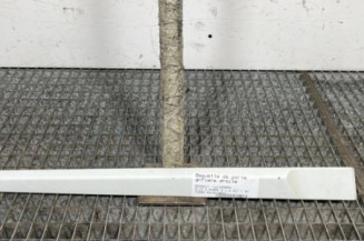 Baguette de porte arriere droite RENAULT CLIO 3 Photo n°1