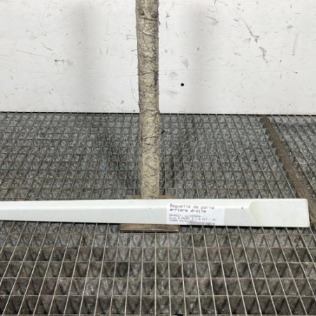 Baguette de porte arriere droite RENAULT CLIO 3 Photo n°1