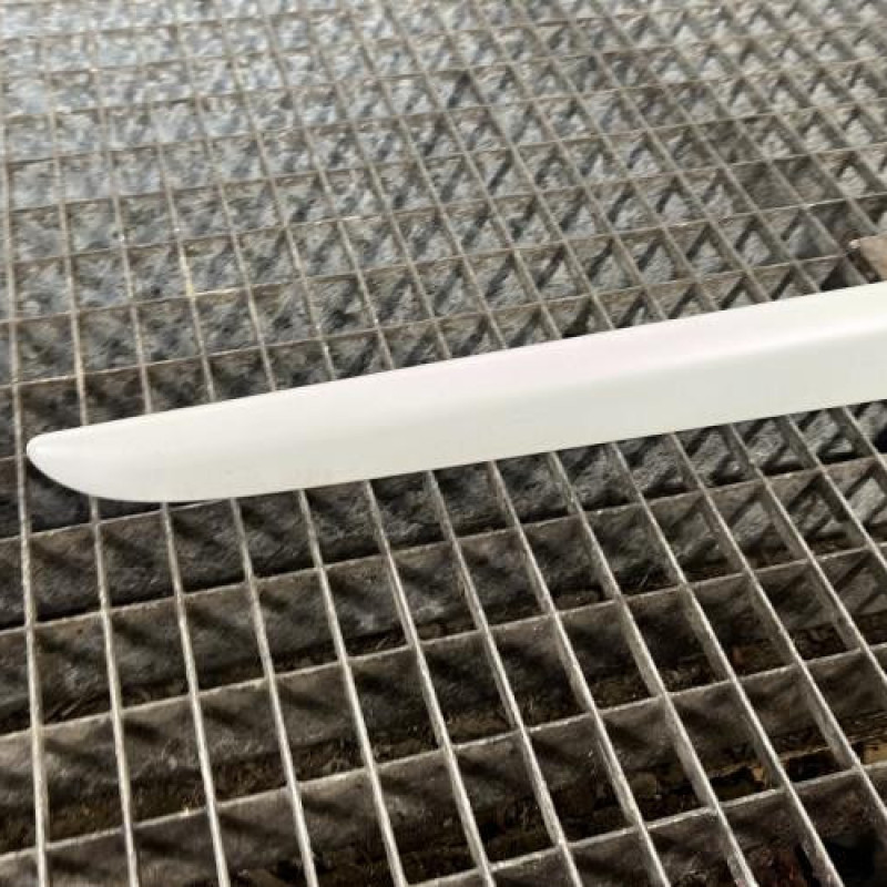 Baguette de porte arriere droite RENAULT CLIO 3 Photo n°2