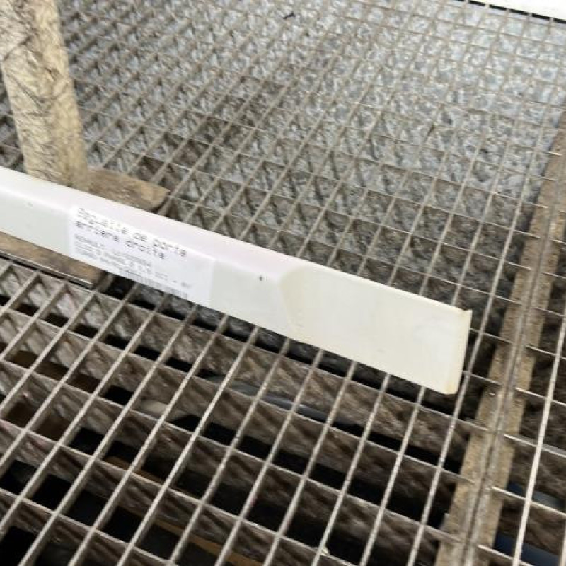 Baguette de porte arriere droite RENAULT CLIO 3 Photo n°3