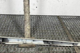 Baguette de porte arriere droite RENAULT CLIO 3