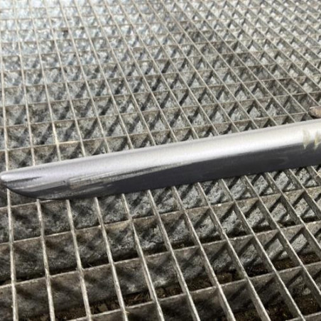 Baguette de porte arriere droite RENAULT CLIO 3