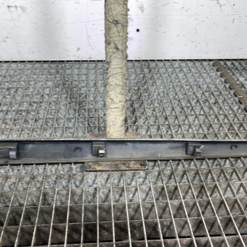 Baguette de porte arriere droite RENAULT CLIO 3 Photo n°4