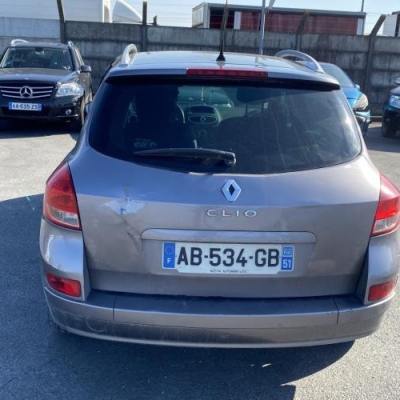 Baguette de porte arriere droite RENAULT CLIO 3 Photo n°9