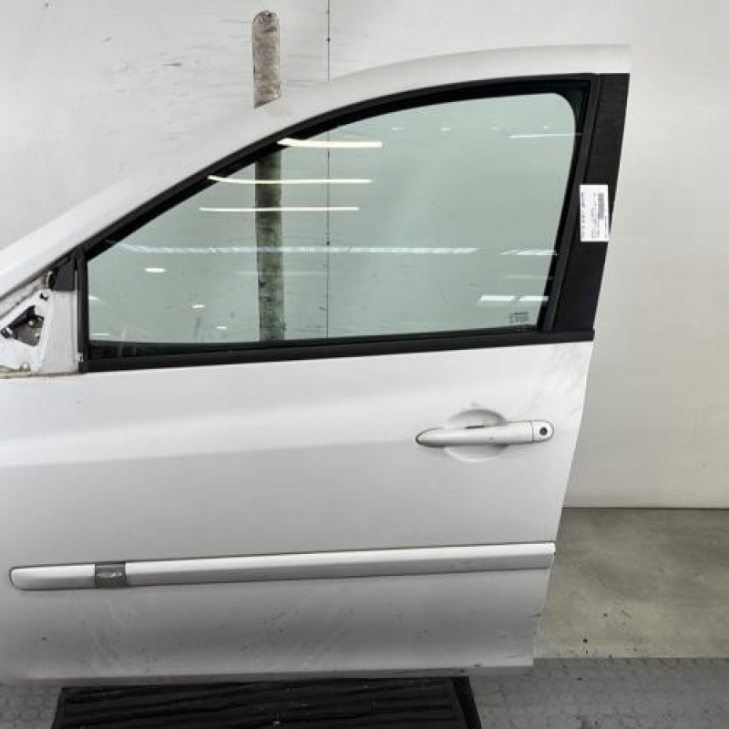 Porte avant gauche RENAULT CLIO 3 Photo n°1