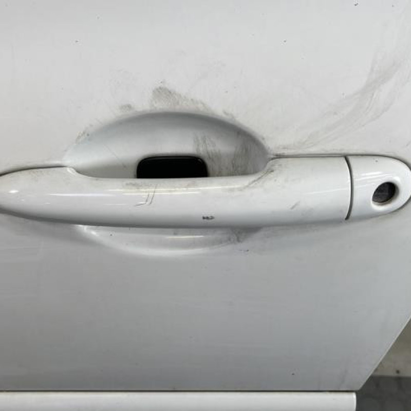 Porte avant gauche RENAULT CLIO 3 Photo n°2