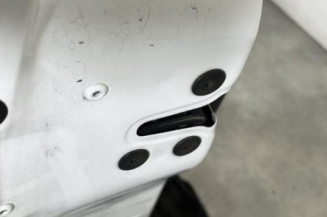 Porte avant gauche RENAULT CLIO 3