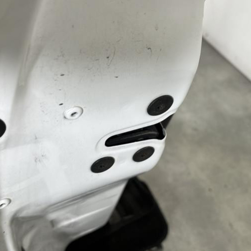 Porte avant gauche RENAULT CLIO 3 Photo n°3