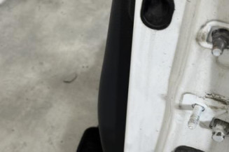 Porte avant gauche RENAULT CLIO 3