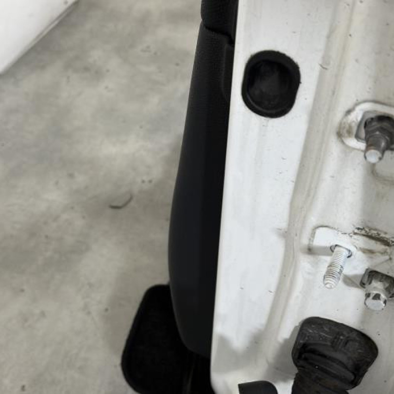 Porte avant gauche RENAULT CLIO 3 Photo n°4