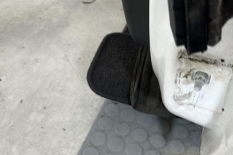 Porte avant gauche RENAULT CLIO 3