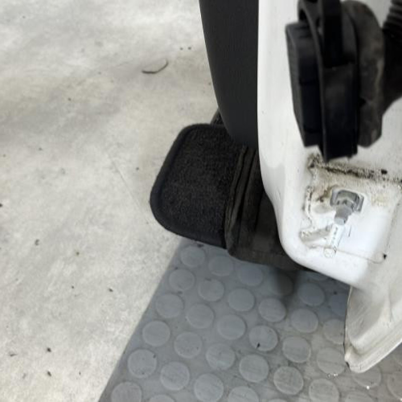 Porte avant gauche RENAULT CLIO 3 Photo n°5