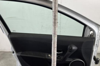 Porte avant gauche RENAULT CLIO 3