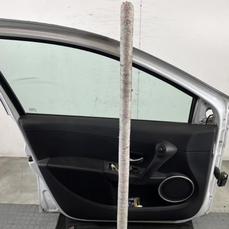 Porte avant gauche RENAULT CLIO 3 Photo n°6