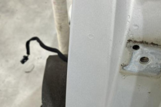 Porte arriere gauche CITROEN C4 1