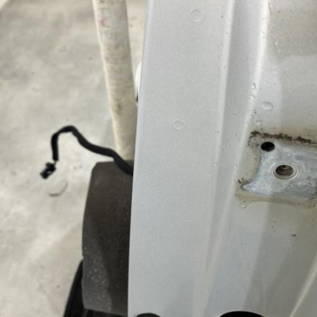 Porte arriere gauche CITROEN C4 1