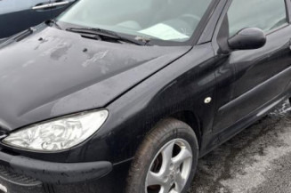 Capot PEUGEOT 206