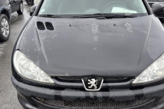 Capot PEUGEOT 206
