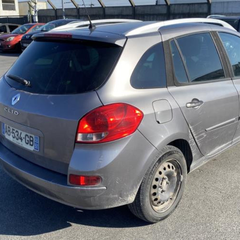 Custode arriere droit (porte) RENAULT CLIO 3 Photo n°7