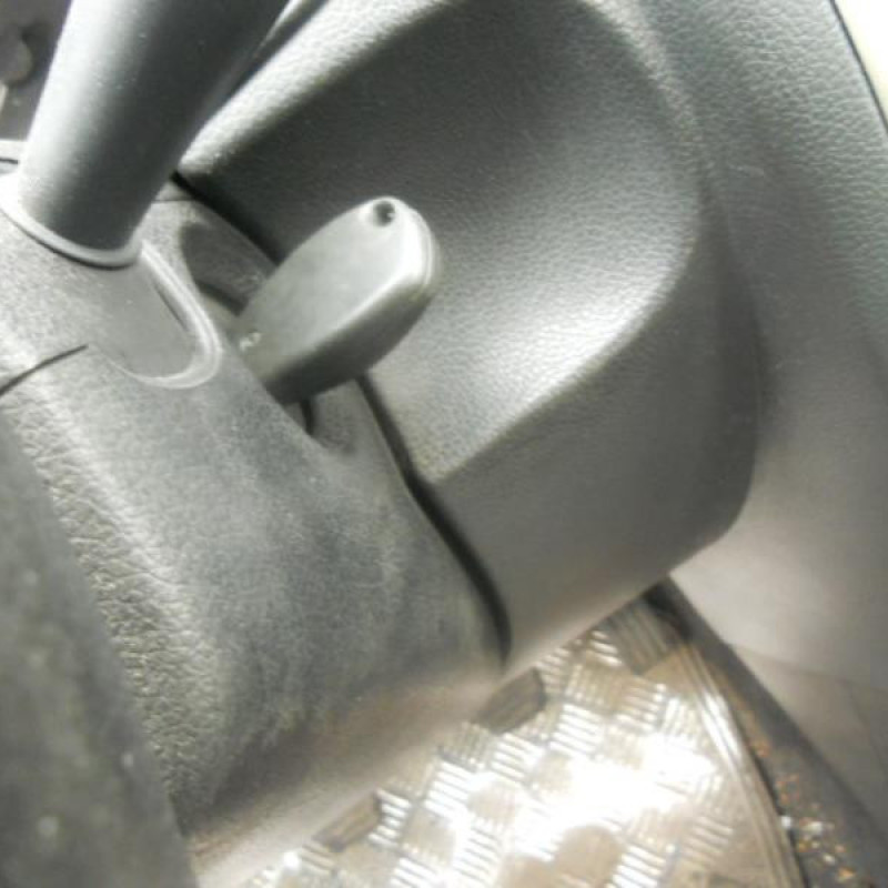 Malle/Hayon arriere DACIA LOGAN 1 Photo n°9