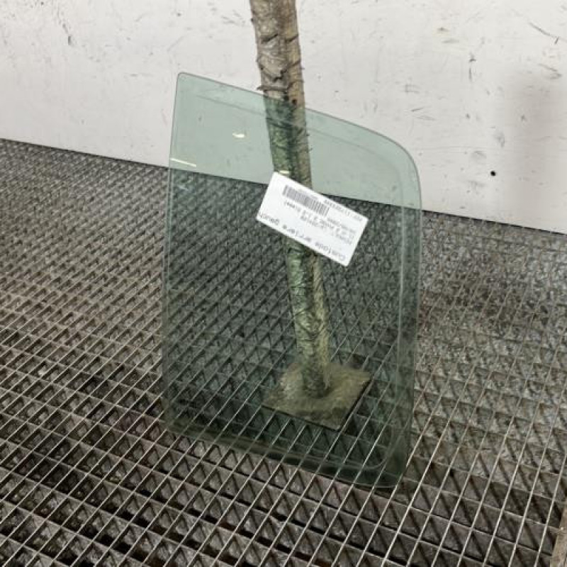 Custode arriere gauche (porte) RENAULT CLIO 2 Photo n°3