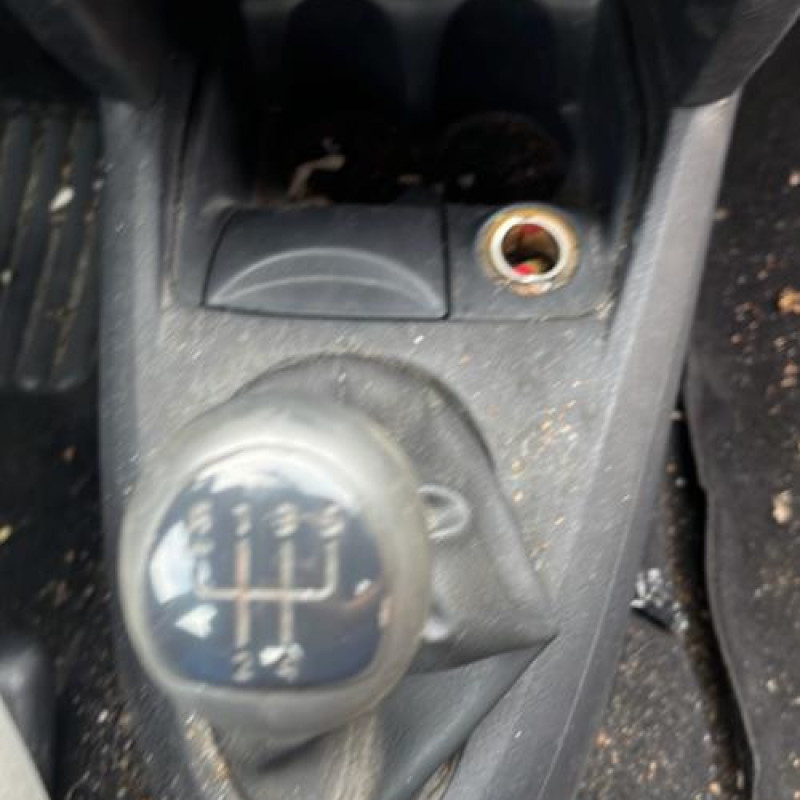 Custode arriere gauche (porte) RENAULT CLIO 2 Photo n°12