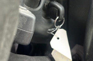 Custode arriere gauche (porte) RENAULT CLIO 2