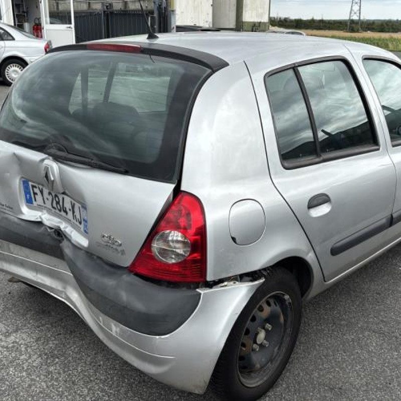 Custode arriere gauche (porte) RENAULT CLIO 2 Photo n°19
