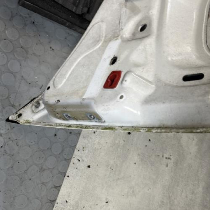 Capot FIAT PUNTO EVO 3 Photo n°8