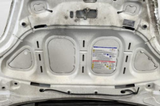 Capot FIAT PUNTO EVO 3