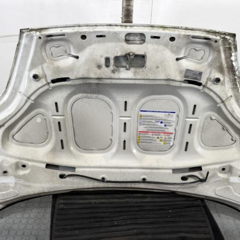Capot FIAT PUNTO EVO 3 Photo n°9