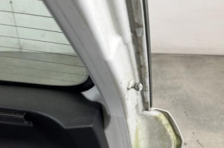 Malle/Hayon arriere FIAT PUNTO EVO 3