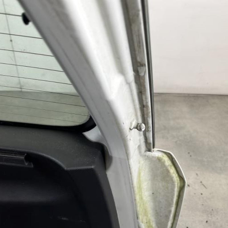 Malle/Hayon arriere FIAT PUNTO EVO 3 Photo n°8