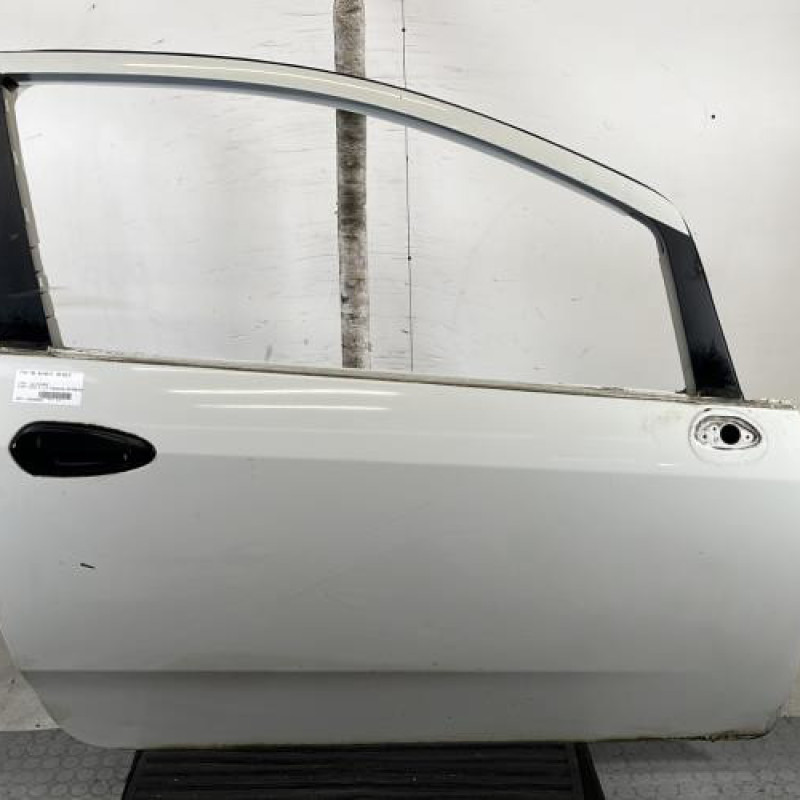 Porte avant droit FIAT PUNTO EVO 3 Photo n°1