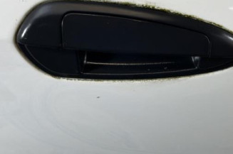 Porte avant droit FIAT PUNTO EVO 3
