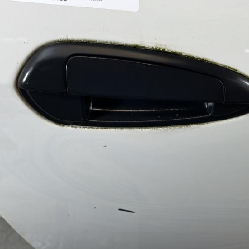 Porte avant droit FIAT PUNTO EVO 3 Photo n°2