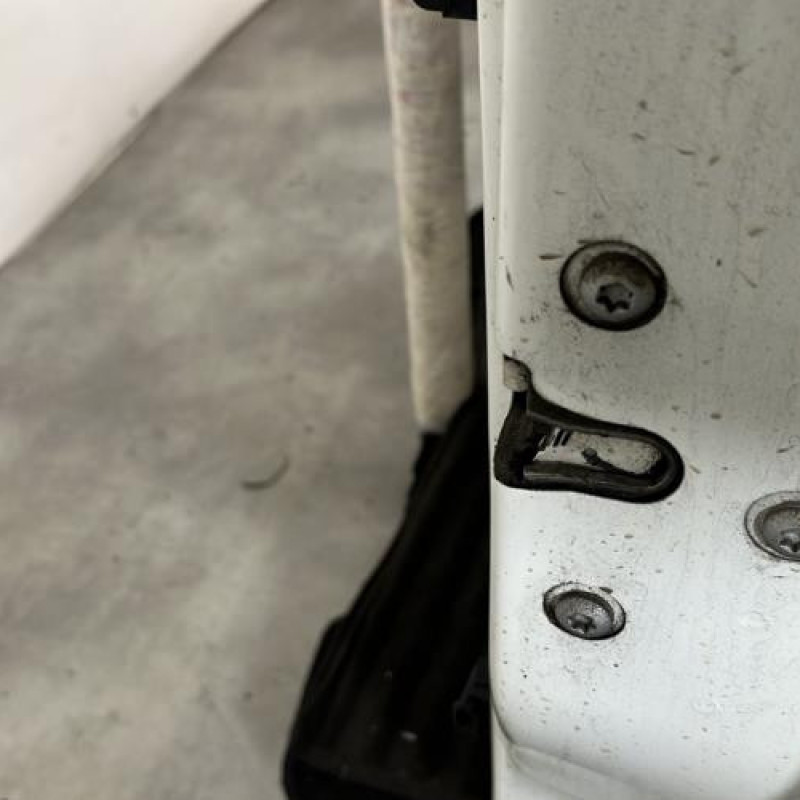 Porte avant droit FIAT PUNTO EVO 3 Photo n°3