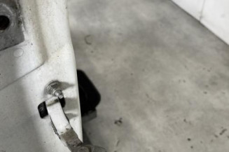 Porte avant droit FIAT PUNTO EVO 3