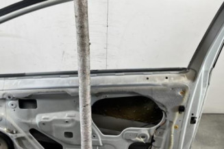 Porte avant droit FIAT PUNTO EVO 3